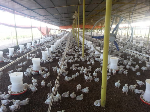 Imagen 12 de 13 de Finca En Venta El Tejero