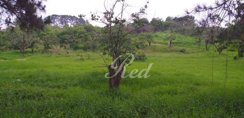 Imagem 2 de 4 de Terreno À Venda, 9500 M² Por R$ 1.980.000 - Chácaras Ceres - Suzano/sp - Te0346