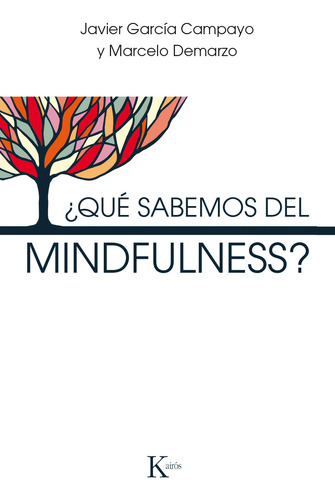 Libro ¿qué Sabemos Del Mindfulness?