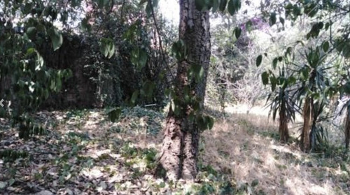 Imagen 4 de 7 de Terreno En Venta En Desierto De Los Leones