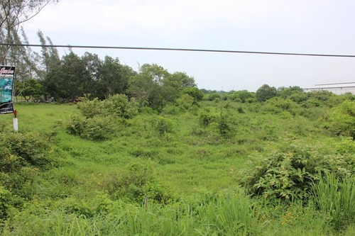 Venta Terreno Tuxpan Ver, Carretera Tuxpan-tamiahua 5 Has