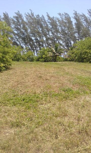 Venta Lotes 600 M² Playa De Barra Galindo Tamiahua Veracruz