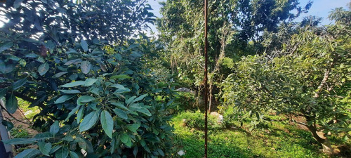 Residencia Comercial Y Confort : Tu Nuevo Hogar