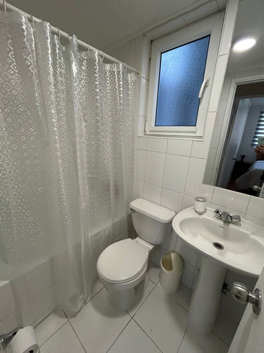 Arriendo Departamento Amoblado 3d Concepción (76897)