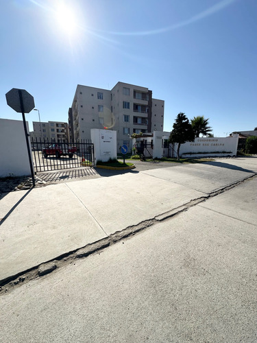 Departamento En Sector Bosque San Carlos (85022)