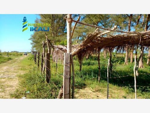 Imagen 7 de 12 de Terreno En Venta Tamiahua