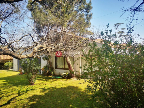 Casa En Punta Del Este, Playa Mansa, Cerca Del Mar, Venta, Alquiler Anual, Y Temporada- Ref: 6622