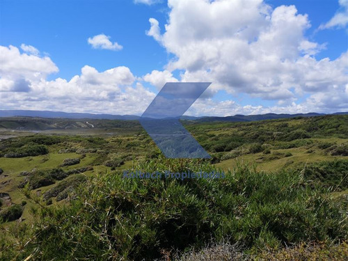 Increíbles 180 Hectáreas En Cucao Chiloe