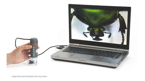 Microscopio Digital Usb Celestron 5mp 200x Handheld Pro