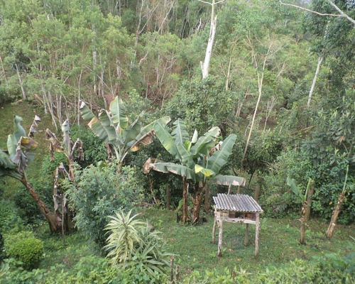 Imagem 10 de 23 de Sítio Contendo Casa Sede Aconchegante À Venda Em Juquitiba; - 327 - 32982714
