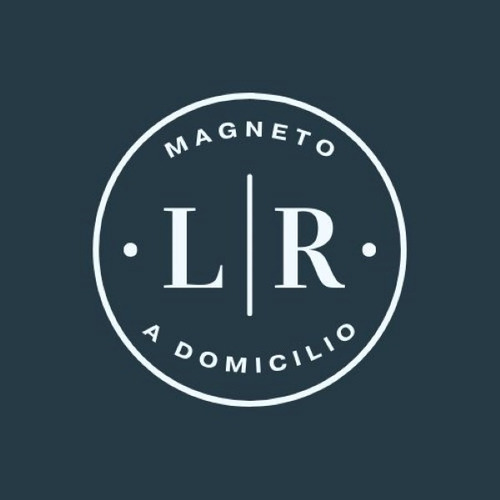 Alquiler De Magneto-envio A Dom- Magnetoterapia-kinesiologia
