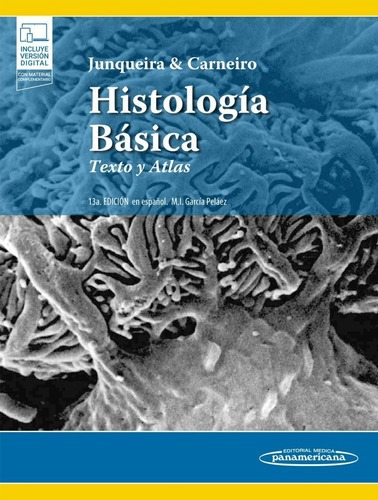 Histologa Bsica  Texto Y Atlas  13 Edicion  Junqiui