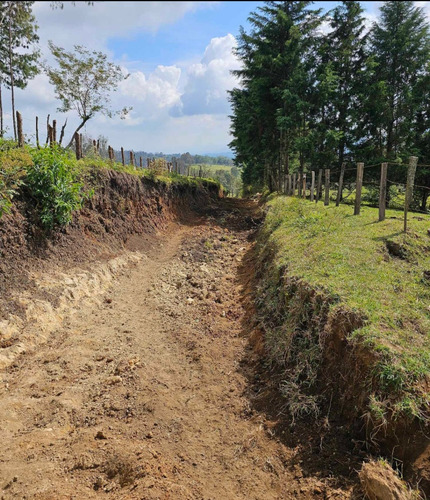 2,8 Hectáreas Monte Grande A 10 Km De Xico Veracruz
