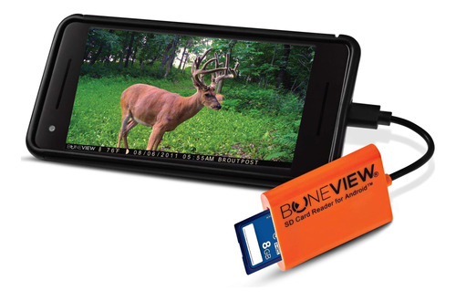 Boneview Lector Tarjeta Sd Para Android  Tipo C Usb Tail Ma