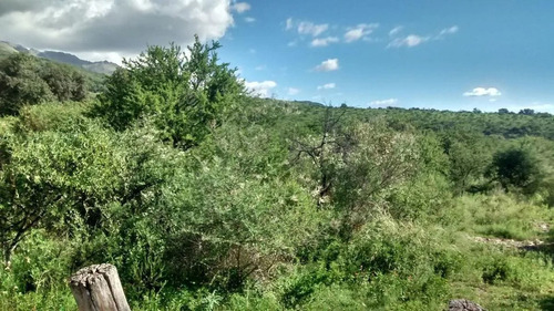 Imagen 5 de 5 de Venta De Terreno En Las Rabonas