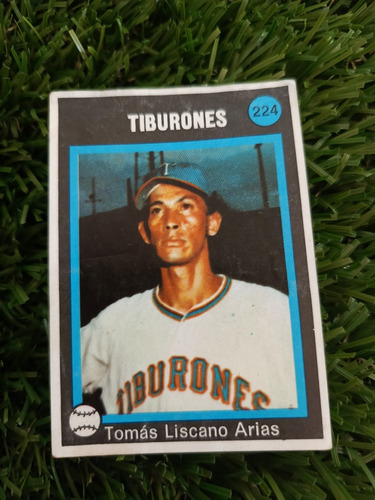 1974 Béisbol Profesional Venezolano Tomas Lizcano #224