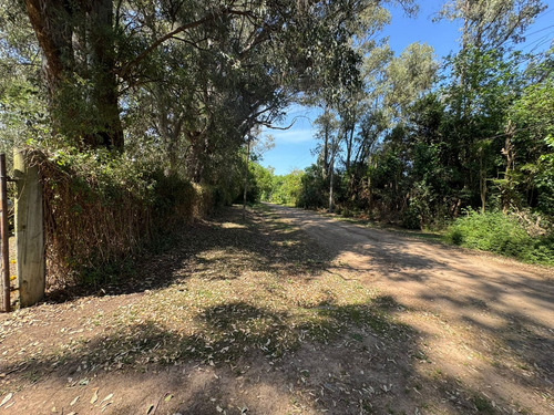Casa Quinta En Venta En Cañuelas