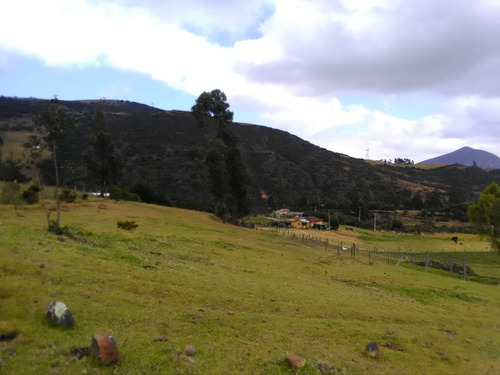 Se Vende Lote 10.000 Mtrs2 En Guasca