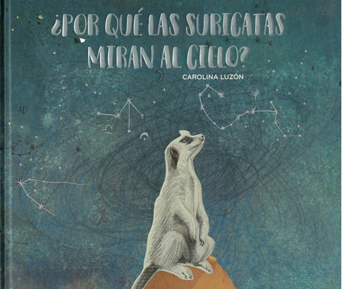 Por Que Las Suricatas Miran Al Cielo?