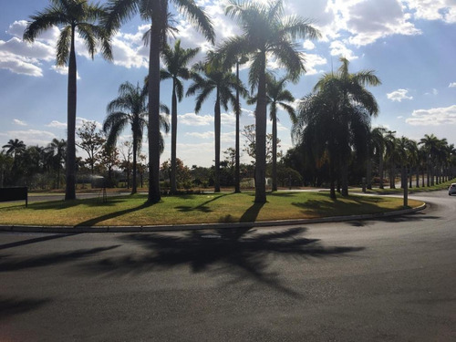 Imagem 3 de 8 de Terreno À Venda, 1000 M² Por R$ 1.100.000,00 - Parque Residencial Damha I - São José Do Rio Preto/sp - Te5158