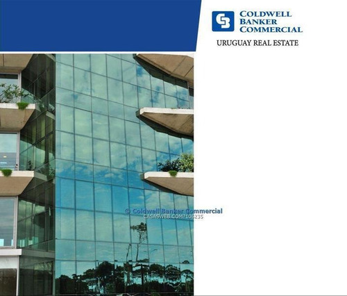 Oficina Alquiler Carrasco - Edificio De Cateogoría