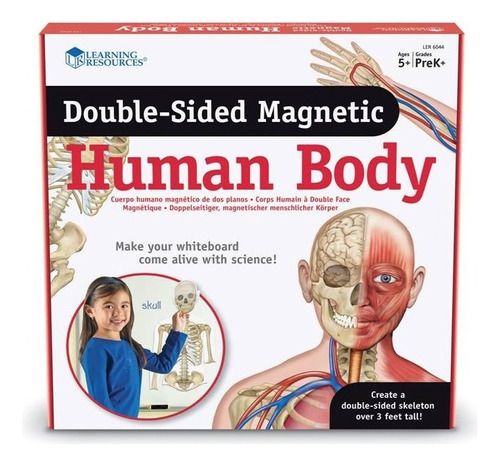 Cuerpo Humano Magnético Didactico Learning Resources