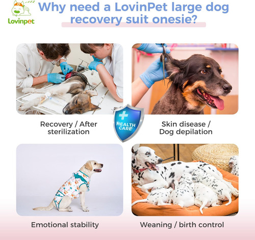 Traje De Recuperación De Perros De Lovinpet Para Perros Medi