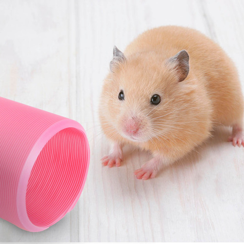 Tubo Telescópico Telescópico Para Mascotas Pequeñas Con Túne