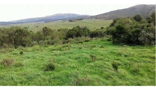 Campo Ganadero En Ruta 60