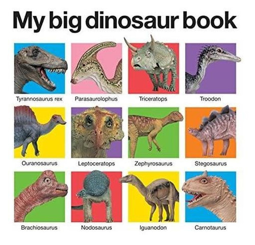 My Big Dinosaur Book - (libro En Inglés)