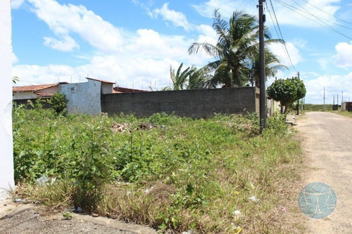 Imagem 5 de 15 de (11115) Loteamento Em Parnamirim - V-11115