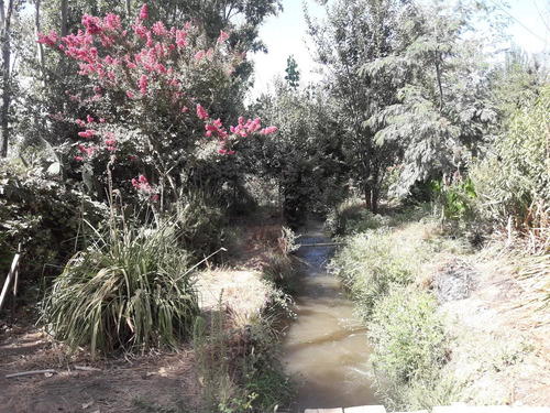 Hermosa Parcela, Buen Terreno Con Agua