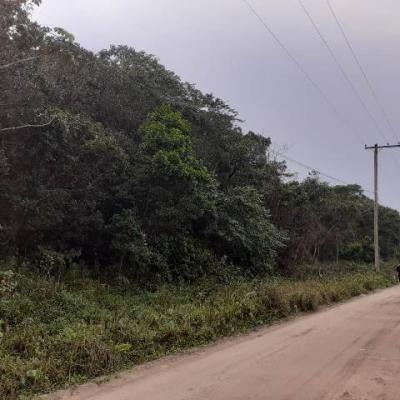 Imagem 2 de 4 de Terreno Com Entrada De 5 Mil Reais - Itanhaém 7213 | Sanm