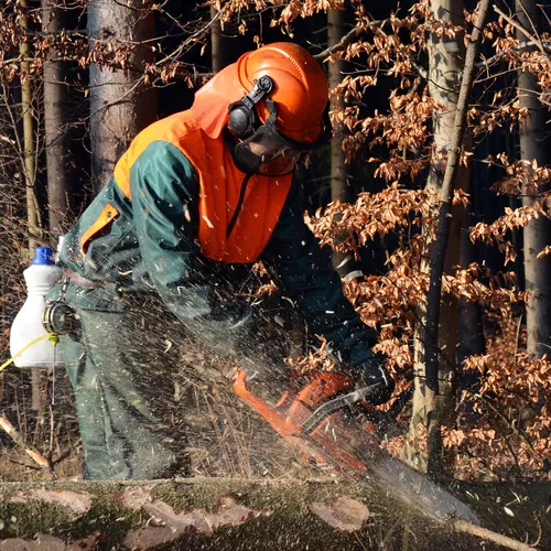 MECANISMO FRENO DE CADENA MOTOSIERRA STIHL