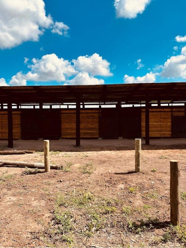 Imagen 2 de 14 de 2 Hectáreas De Campo Con 25 Boxes