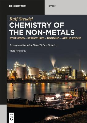 Libro Chemistry Of The Non-metals : Syntheses - Structure...