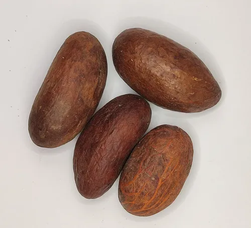 Orogbo | Nuez De Kola Amarga