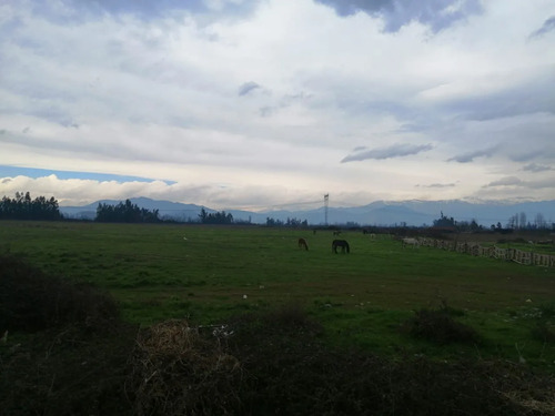Gran Oportunidad 3 Parcelas De Agrado En El Abra Requinoa
