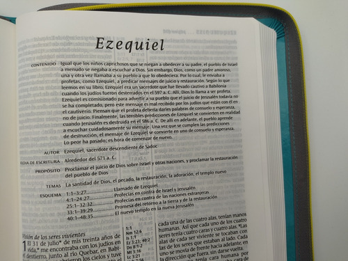 Biblia Nueva Traducción Viviente Cierre Letra Grande Verde