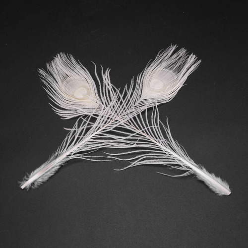 50 Unidades De Plumas De Pavo Real Blancas Naturales En El O