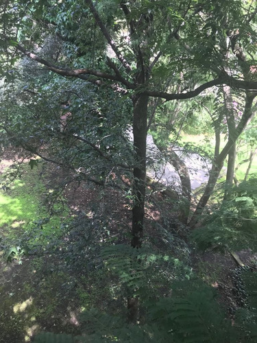 Imagen 15 de 30 de Hermosa Casa En Bosques De La Herradura