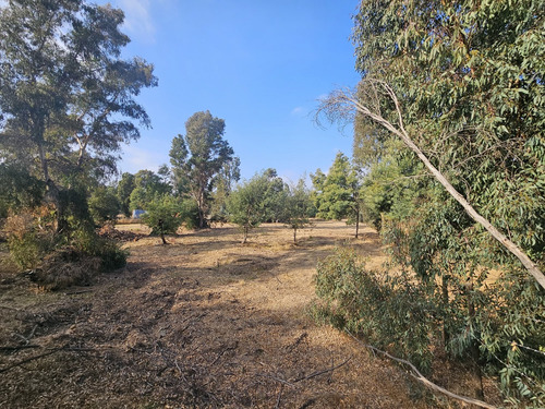 Vendo Sitio De 5580 M2 En Queronque Los Laureles Limache.