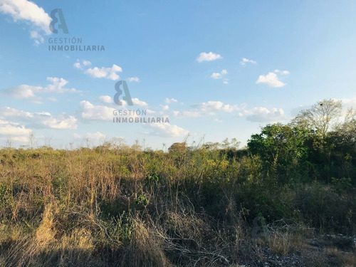 Imagen 6 de 9 de Terreno En Esquina En Venta En Komchen, Yucatán. Ctv126.