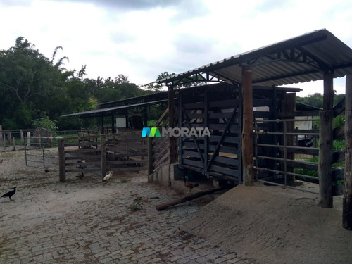 Imagem 10 de 15 de Fazenda - Zona Rural - Ref: 3638 - V-mta3638