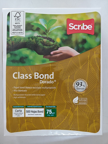 Paquete Hojas Scribe Class Bond Dorado