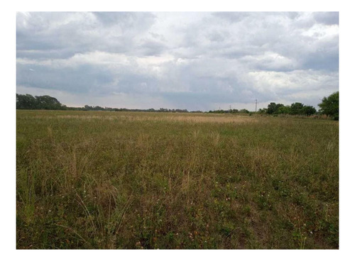 Imagen 10 de 12 de Campo En Venta - 14 Hectáreas - General Mansilla