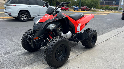 Can Am Ds 250 2022