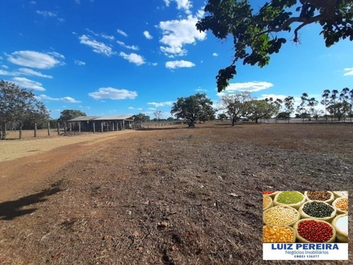 Fazenda À Venda Em Dueré/vale Do Araguaia -to - (dupla Aptidão) - 1537