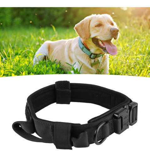 Collar De Perro Táctico Ajustable Con Hebilla De Metal