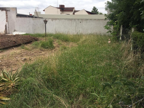 Imagen 3 de 8 de Terreno Venta 24 X 30 Mts - 471 Mts 2 Totales- Manuel B Gonnet